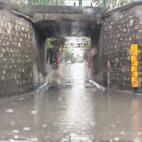 “雨”你同行——网格员雨中坚守保畅通