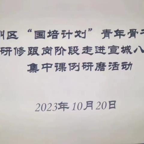 指导做帆引路，研修当舟远行——宣州区“国培计划”青年骨干教师提升研修跟岗阶段走进八中开展集中课例研磨活动