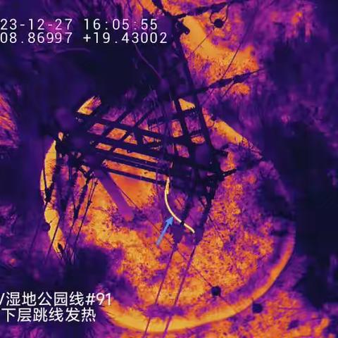 10kV湿地公园线无人机特巡