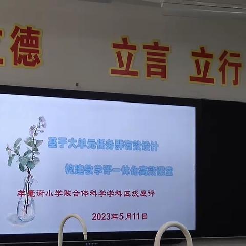 基于大单元任务群有效设计  构建教学评一体化高效课堂  羊毫街小学教合体料学学科区级展评