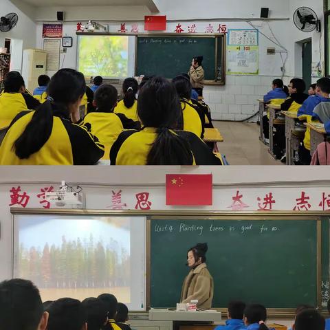 综合课堂，异彩纷呈—金贝贝小学综合组公开课展示