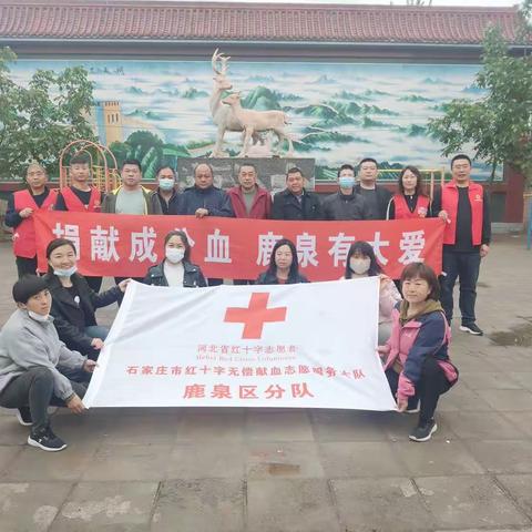 鹿泉分队大河小队“捐献成分血，鹿泉有大爱”集体捐献成分血活动