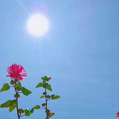 章古台学区中心校综合组第一期问题讨论                       学习如何规范书写课时教案、单元预案