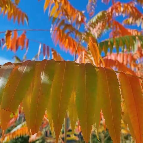 综合组问题讨论