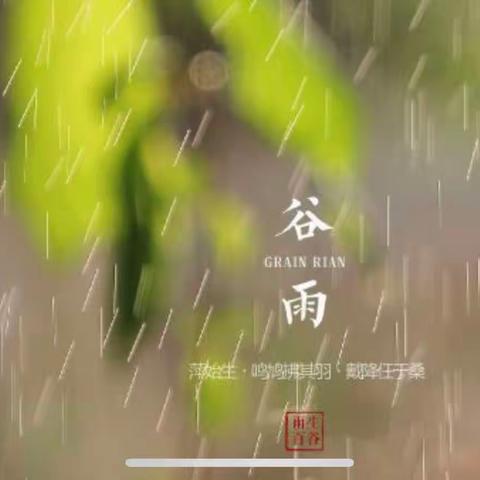 在宋村二小识“谷雨”