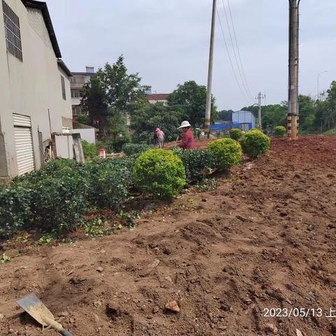 综合执法三支队机动中队一周工作小结（5月13号～5月19号）