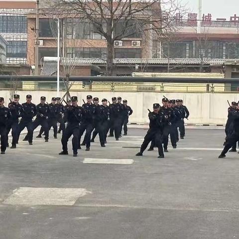 立足实战铸铁军 春日练兵正当时—特巡警大队全面开展春季实战大练兵