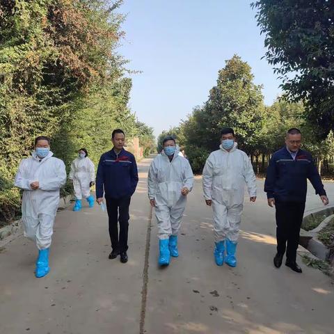 省奶牛体系首席专家来泾调研奶牛产业情况