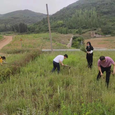 【新时代文明实践】东风街道富泉社区悠悠艾草迎端午