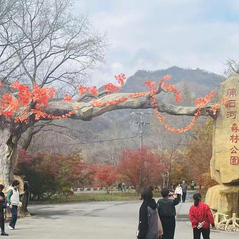 蒲石河枫叶之旅