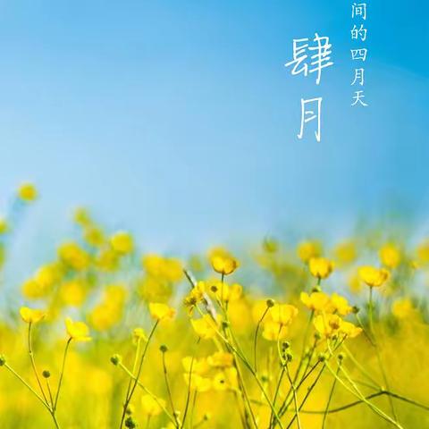 耕心有色润无声，“研”途有路展芳华---平庄矿区第一小学润心教育之“有效教学工作坊”组内研究课专题活动