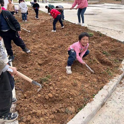 长吉镇新盘幼儿园播种日记