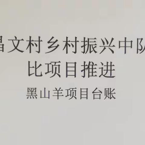 （琼山产业振兴）红旗镇昌文村委会黑山羊养殖项目