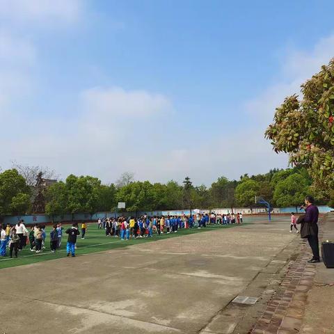 赏狮子山美景，感悟绿色发展——金康小学春游（爬山）记