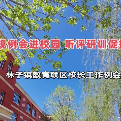 观课议课促共同成长  规划培训引长期发展--临邑县林子镇教育联区