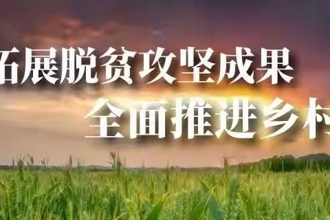 北阳镇召开2023年防止返贫监测帮扶集中排查工作培训会议