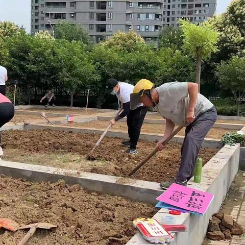 五年级劳动实践活动