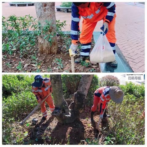 新会项目施肥工作的美篇