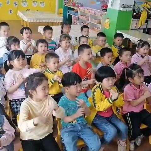 百乐幼儿园中一班第十三周教学反馈