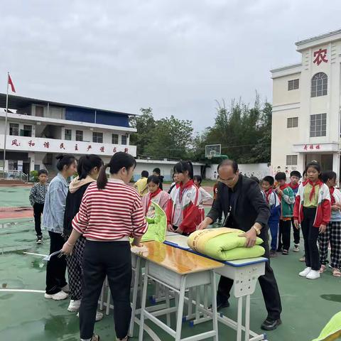 动起来，更健康——桂平市木乐镇农塘小学2023年劳动技能比赛