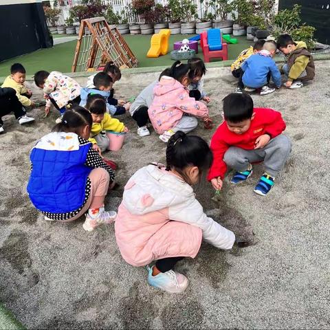 乐贝儿幼儿园第九周精彩分享