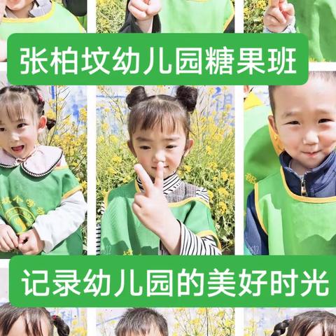 张柏坟幼儿园【糖果班】记录幼儿园的美好时光