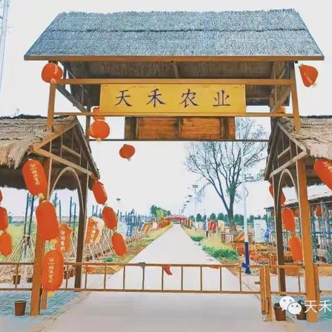 中秋节主题研学活动