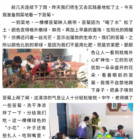 劳动励心智 实践促成长一一韩陵镇第二实验小学五(1)班学生劳动实践活动