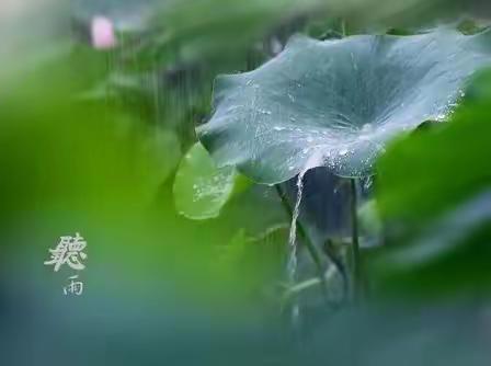 【听雨】六2班第十一周家书