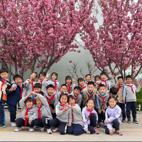 🌿「植物主题」第二辑🫑——威海市第二实验小学2022级6班🌺