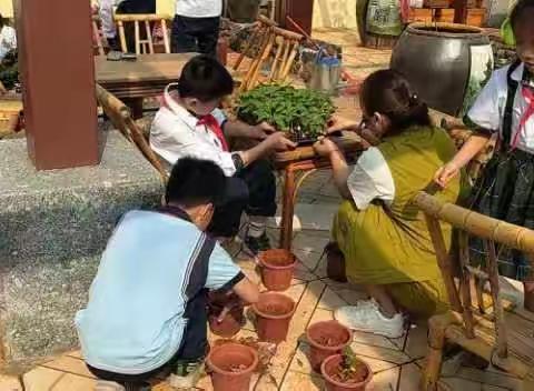 花卉园种植活动掠影