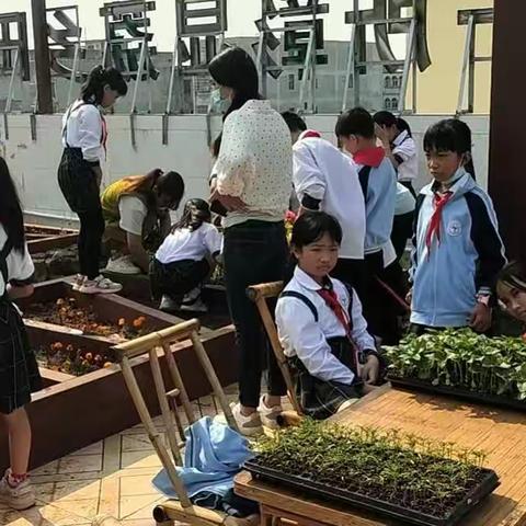 花卉园种植活动掠影