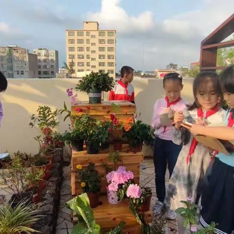 花卉园观察记录掠影