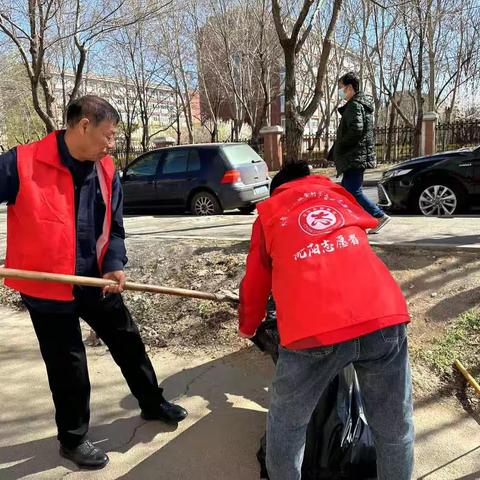 【大青街道大挨金村】党派我来净家园，学习雷锋大家行