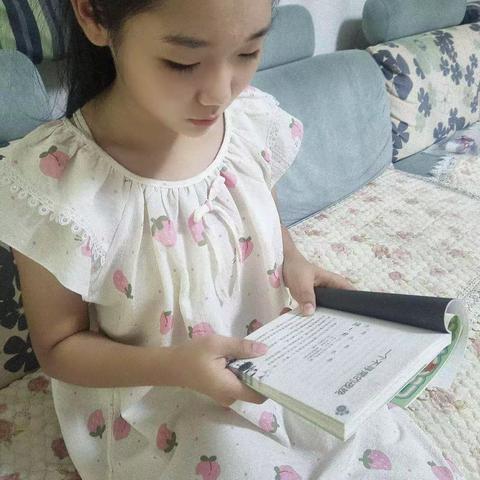 多姿多彩的暑假生活