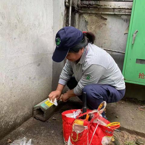 中河街道，宋诏桥社区大朱家已整改