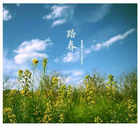 未来贝星幼儿园“亲近自然，与莓同乐”采摘草莓活动——爱迪生二班