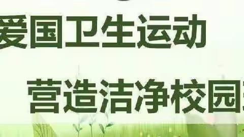 【爱卫行动，从我做起】左家坞幼儿园爱国卫生活动宣传