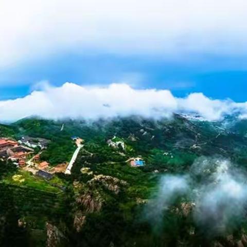 安东卫街道东山佳园1#、2#、4#沿街商业楼租赁权现公开招商