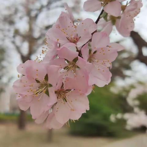 中四班生活记录