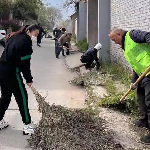 秦陵街道全力推进人居环境专项整治行动