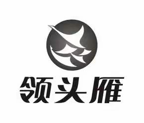 “头雁”领航，聚力飞翔！