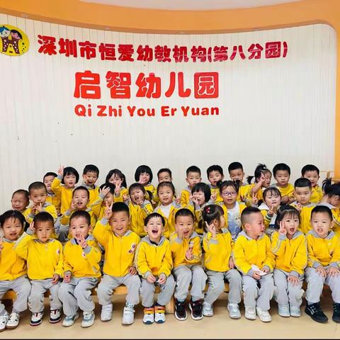 启智幼儿园小五班《车子叭叭叭🚗》主题小结