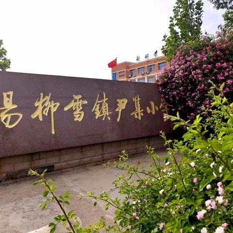 桃红落 涩果青 “尹”殷可期       ——尹集小学四月工作记实