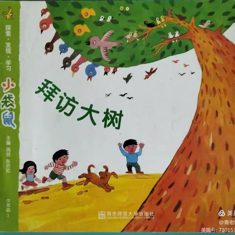 佳家幼儿园中一班第三个主题活动——人与树的和谐《拜访大树》