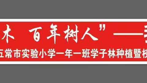 【实小劳动】“十年树木，百年树人。”——我与小树共成长