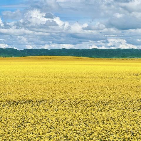 上马营响丁当托管——兴汉胜境，汉风“裳”花季，研学邀约