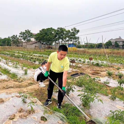 常徳市一中柳叶湖学校37班亲子基地活动～释放压力、乐享生活