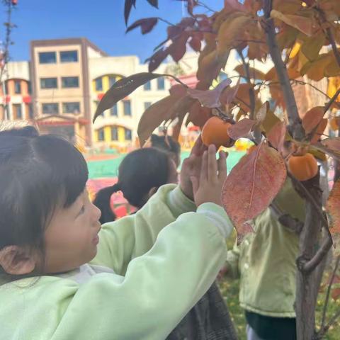 金秋十月，温暖相伴——漳源幼儿园中一班幼儿10月份课程回顾