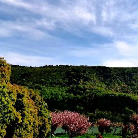 开心每一日，幸福每一天——春日家庭团建